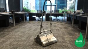 limpeza a seco de carpetes